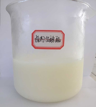 图片2(5).jpg